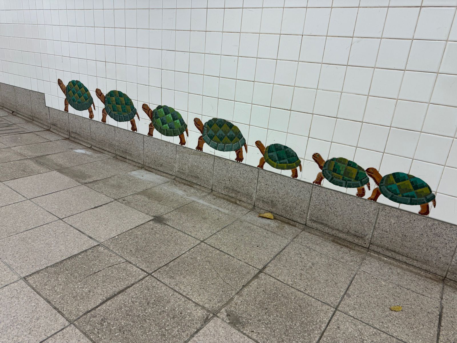 A group of turtles Mae form tiles on a subway wall leading up to the museum of natural history. The whole subway station is adorned with imagery if animals made from tiles.